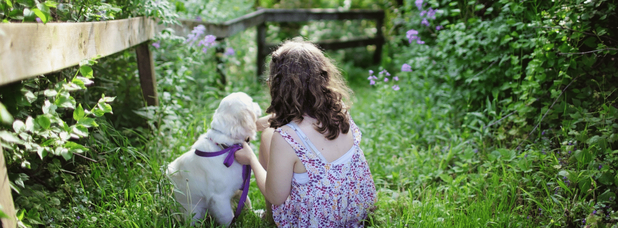 Broyeur de végétaux utilisé pour traiter déchets du potager