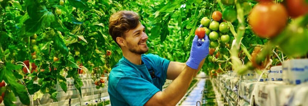 Les professions dans l'agriculture en France