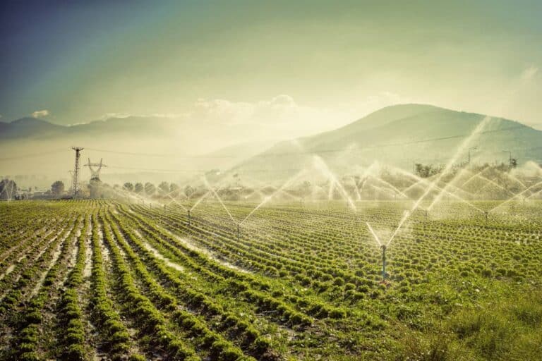 Travailleur agricole utilisant un système d'irrigation performant