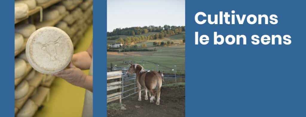 alimentation blockchain