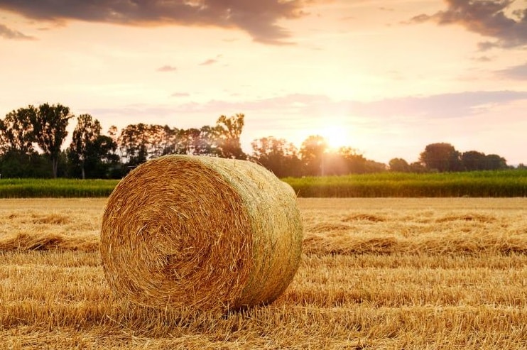 Champ agricole français avec botte de foin