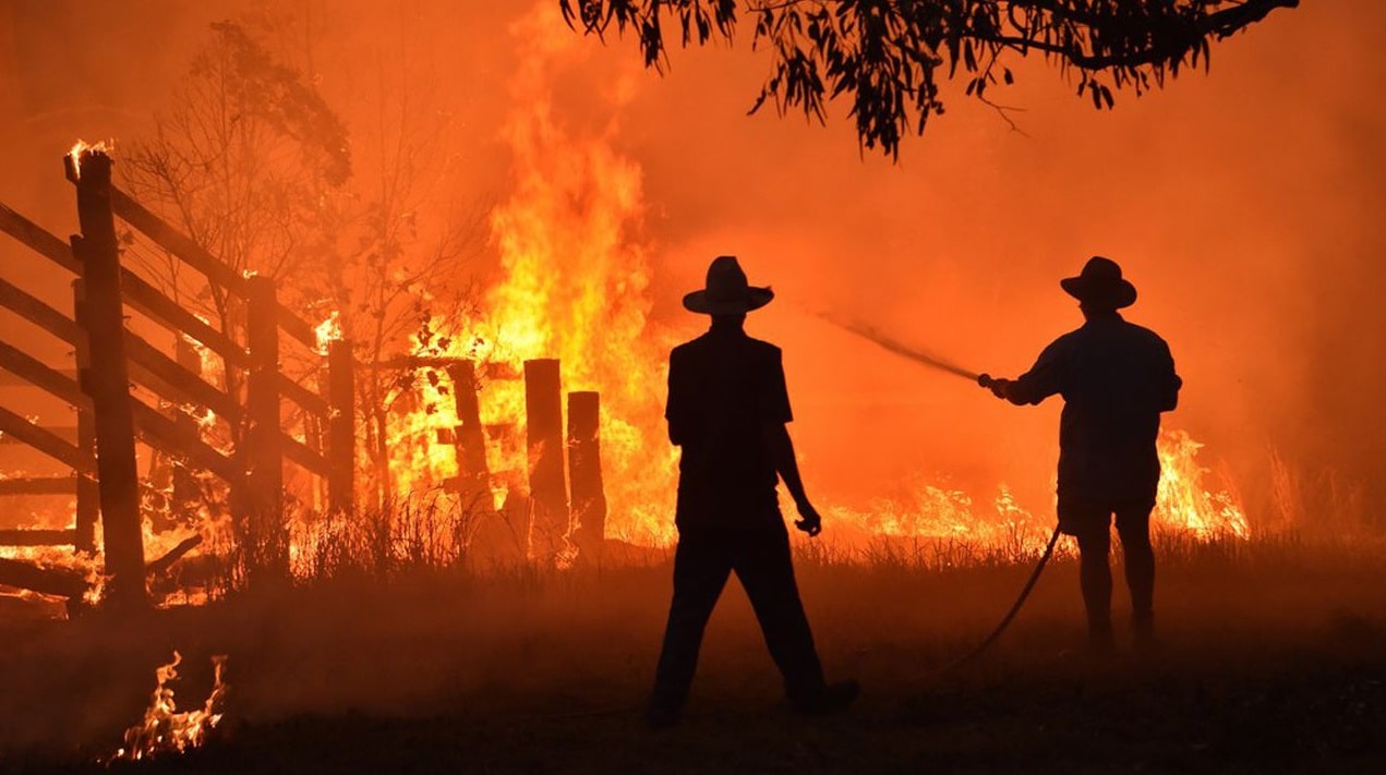 Incendie dans une école d'agriculture