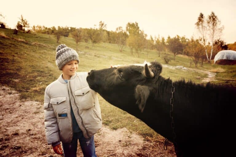 Élèves en mode agriculture à l'école française