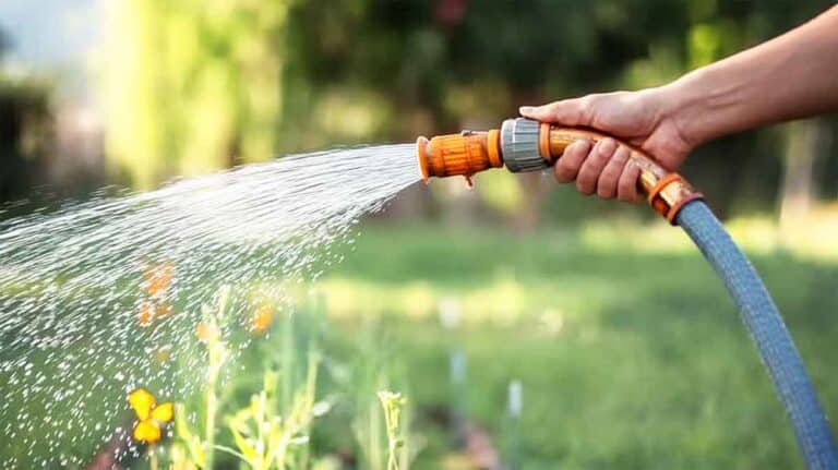 arrosage jardin