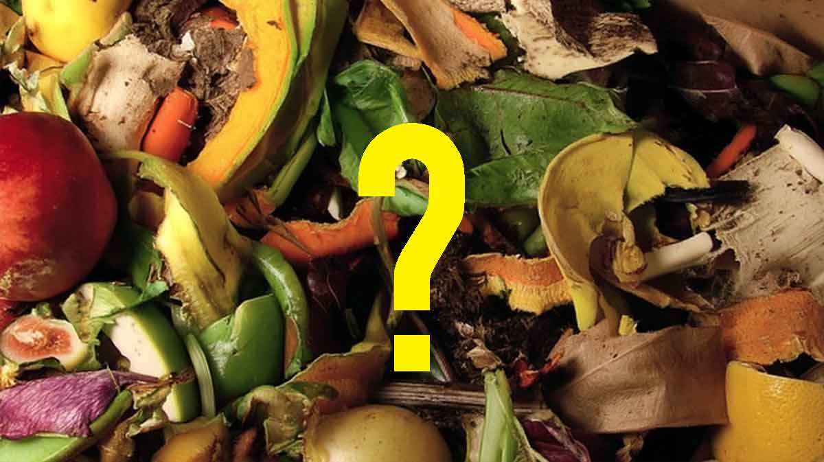 compost maison ingredient