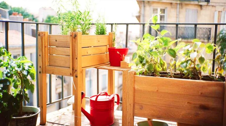 potager balcon