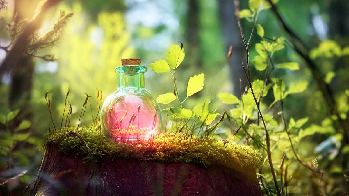 potion magique plantes