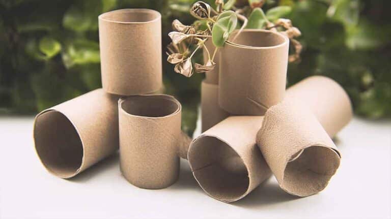 rouleaux papier toilette