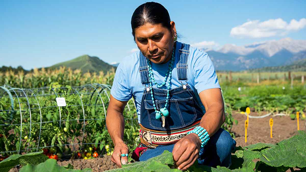 amerindien jardinier
