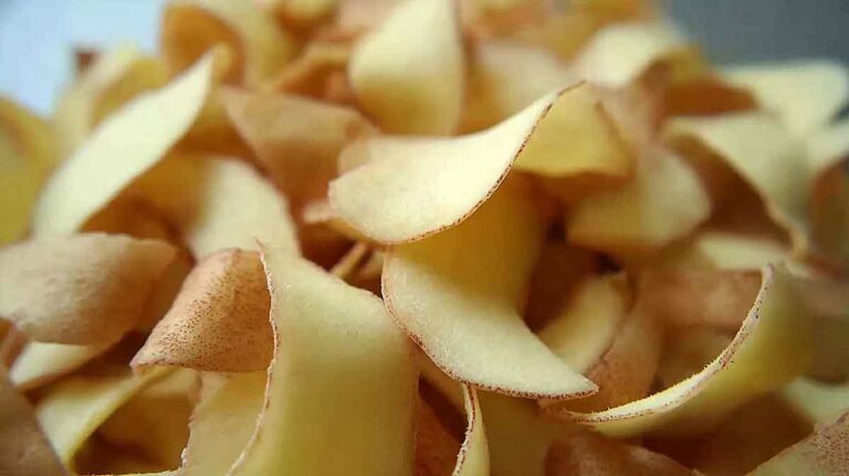 epluchures de pommes de terre