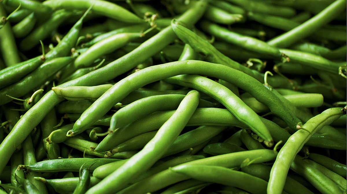 haricot vert