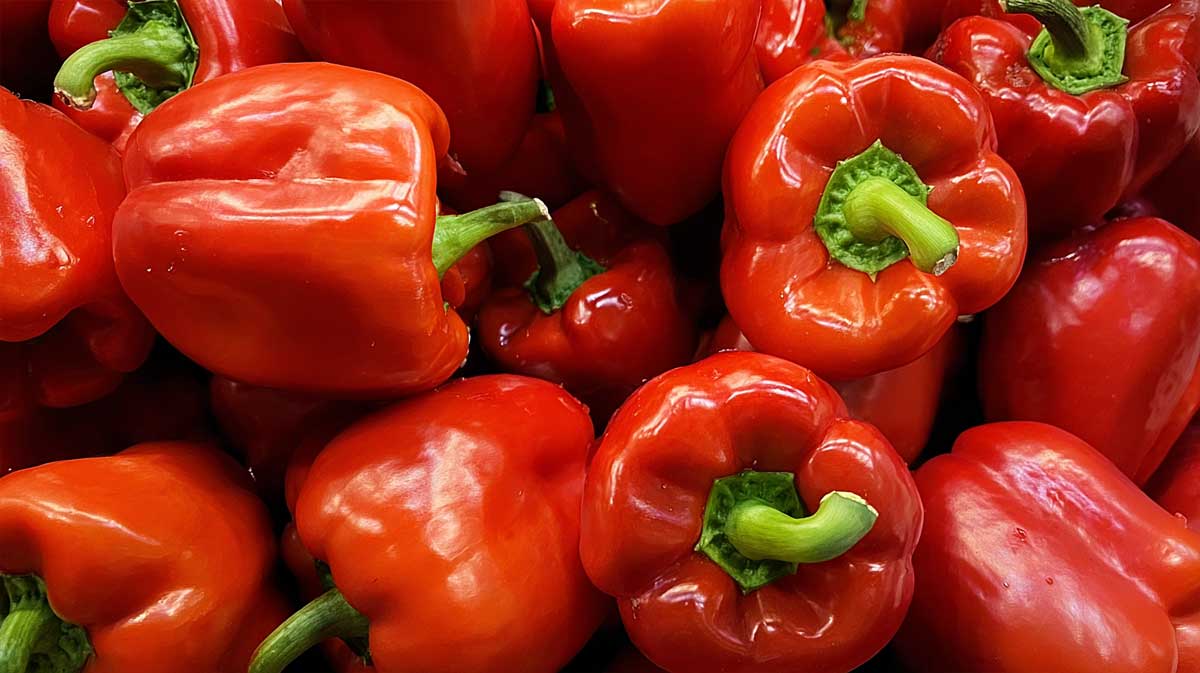 poivrons rouges