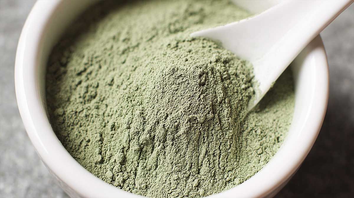 Ce mélange à l’argile protège vraiment les jeunes fruitiers après la taille