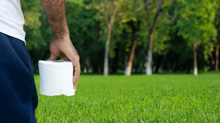 pelouse papier toilette
