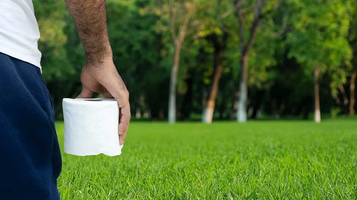 pelouse papier toilette