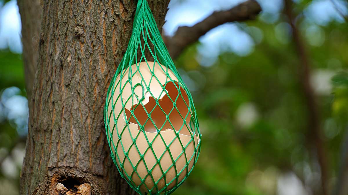 coquille d'oeuf suspendu