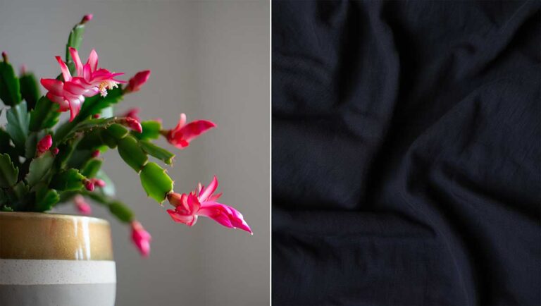 tissu noir cactus noel