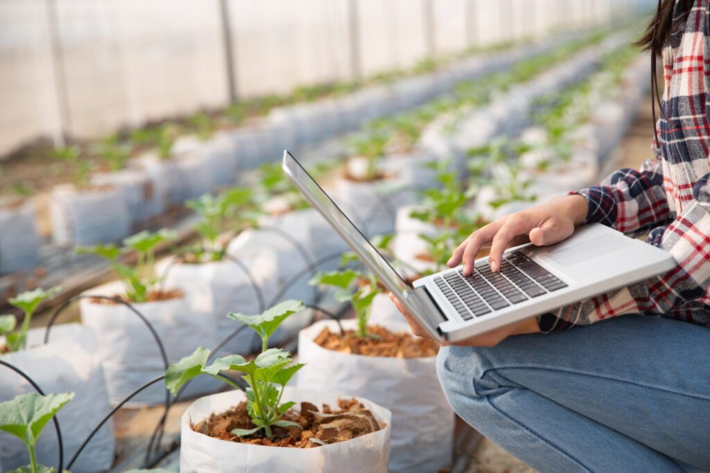 agriculture moderne