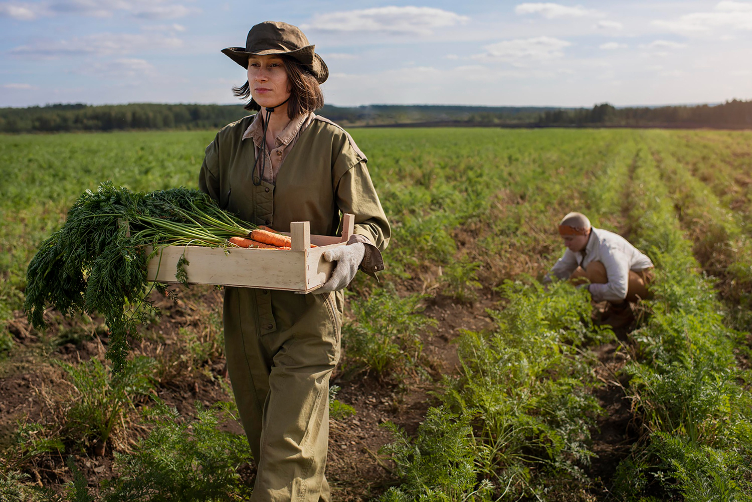 agriculture moderne