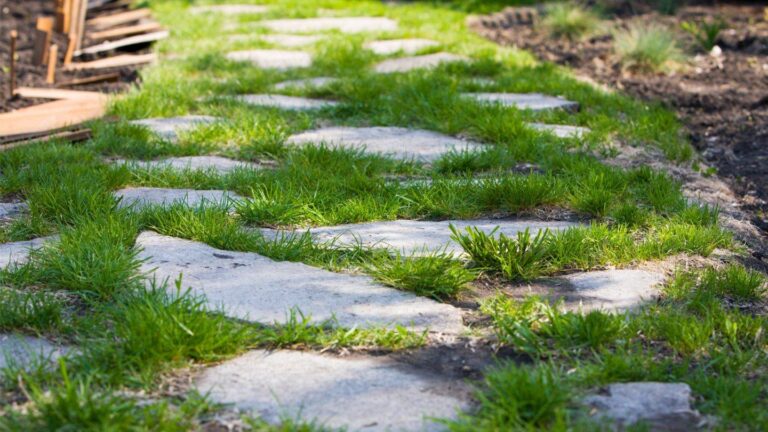 Aménager un chemin de jardin élégant avec des pas japonais