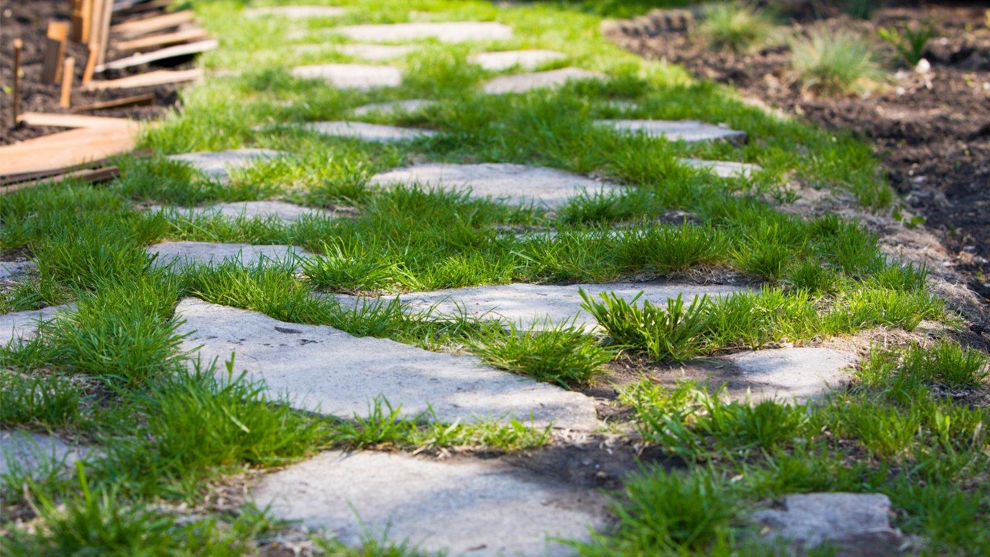 Aménager un chemin de jardin élégant avec des pas japonais