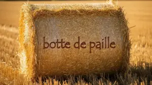 botte de paille rectangulaire compacte champ soleil