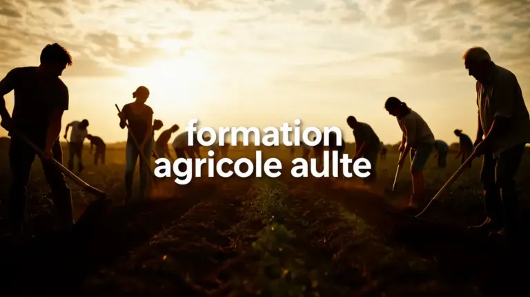 formation agricole adulte champ personnes outils agricoles