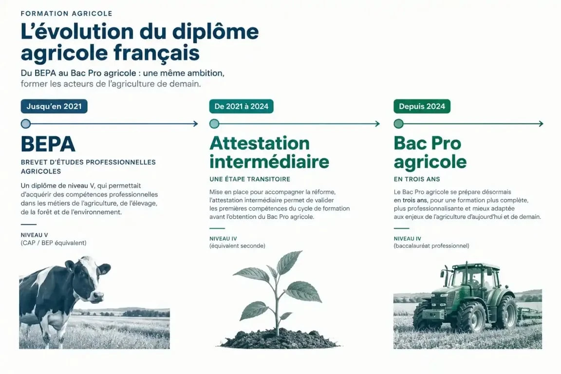 Frise chronologique de l'évolution du BEP agricole vers le Bac Pro agricole
