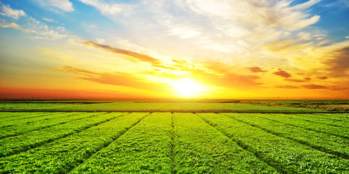 agriculture française