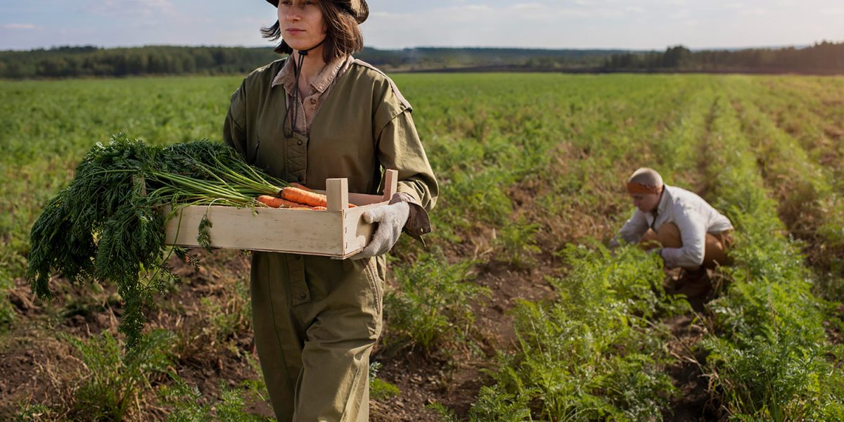 agriculture moderne