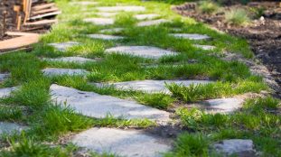 Aménager un chemin de jardin élégant avec des pas japonais