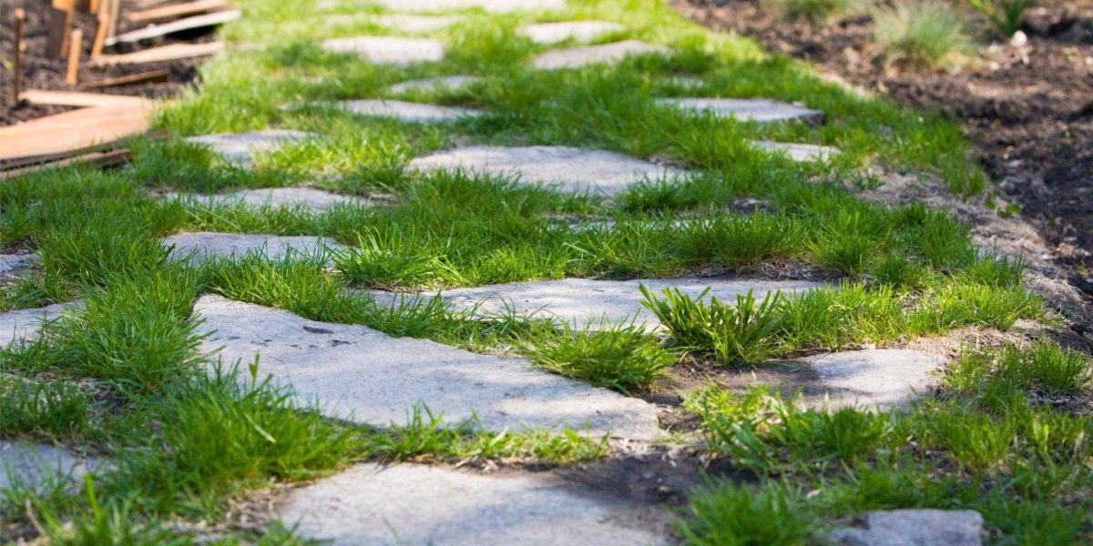 Aménager un chemin de jardin élégant avec des pas japonais