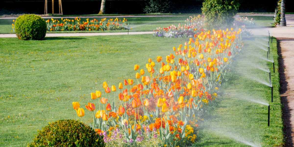 lutte biologique contre les ravageurs
