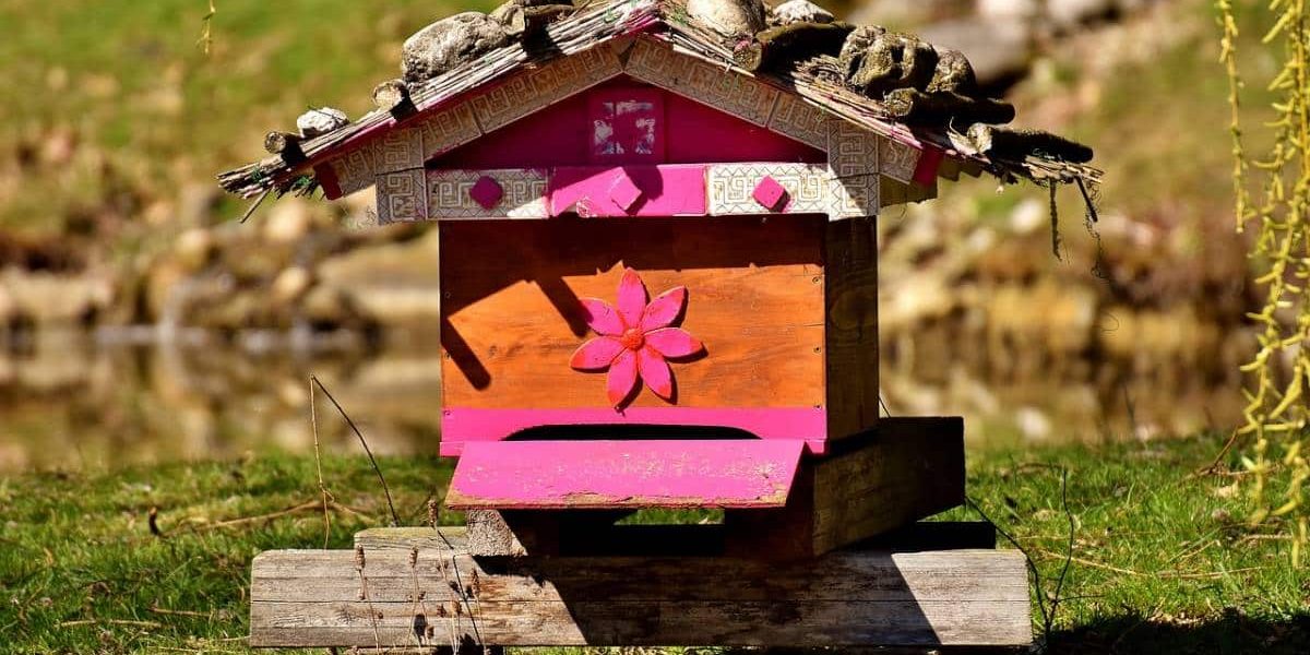 Étudiants travaillant dans une ferme école