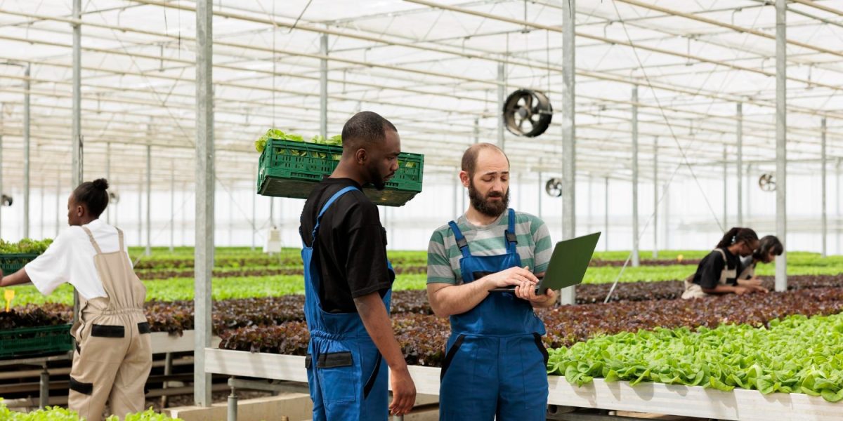 Étudiants travaillant dans un champ d'école agricole