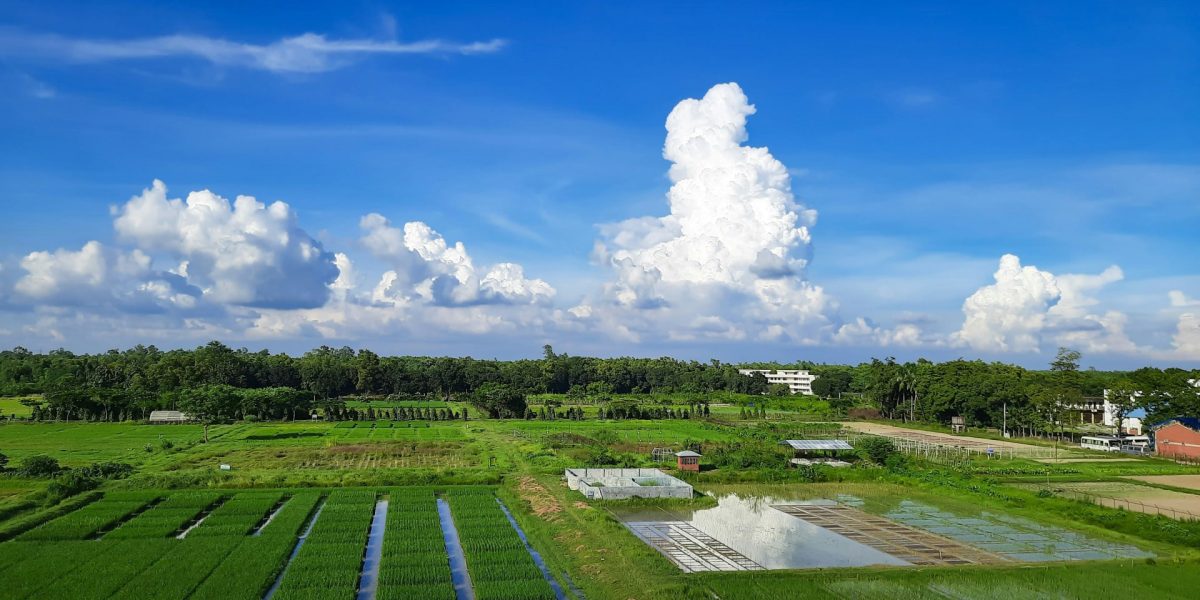 abdullah al jobair 5mwxcfi7lhy unsplash.jpg