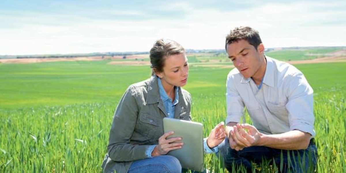 Agriculteur français travaillant dans un champ