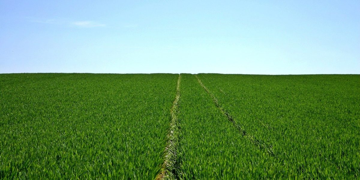 Étudiants travaillant sur le terrain en agriculture