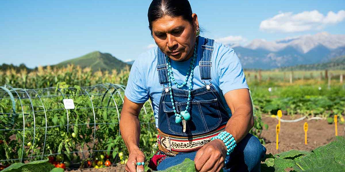 amerindien jardinier