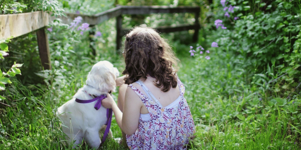 Broyeur de végétaux utilisé pour traiter déchets du potager