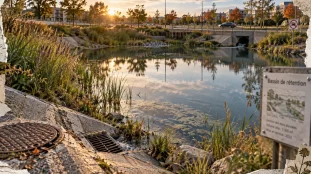 Bassin de retention d eau urbain, stockage temporaire et régulation des pluies