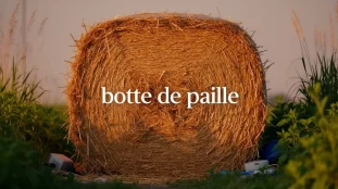 Photo botte de paille compacte fond vegetal