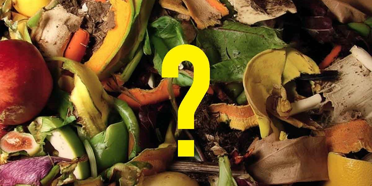 compost maison ingredient