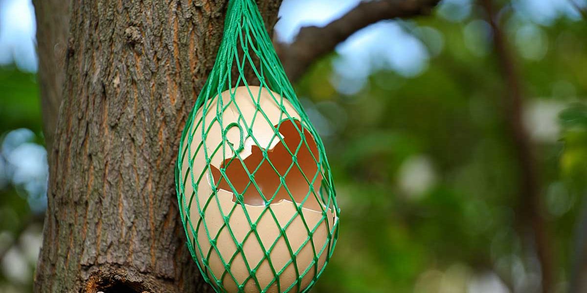 coquille d'oeuf suspendu