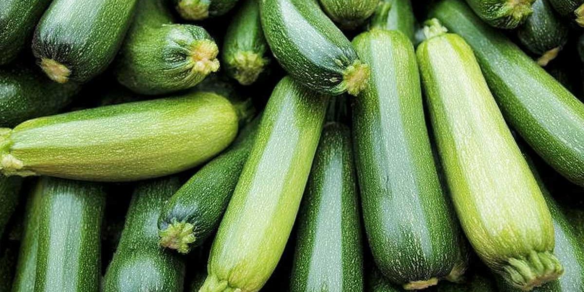 courgettes