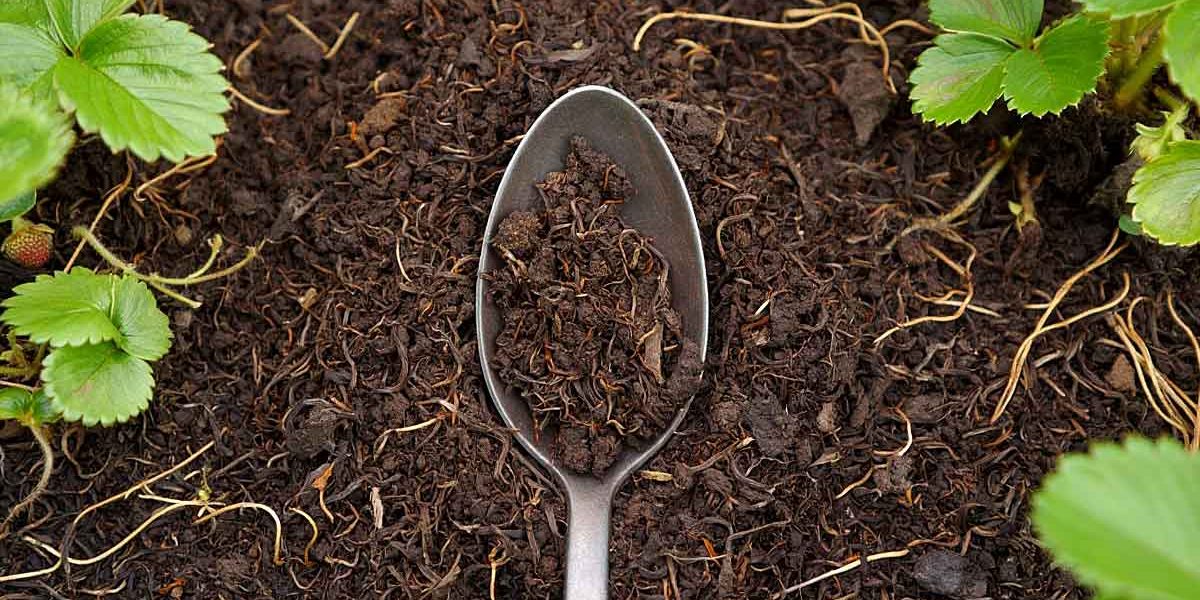 cuillere electroculture