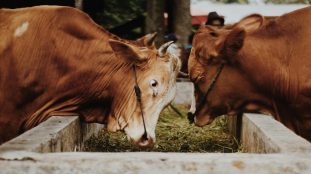 equipements agricoles pour moderniser son exploitation