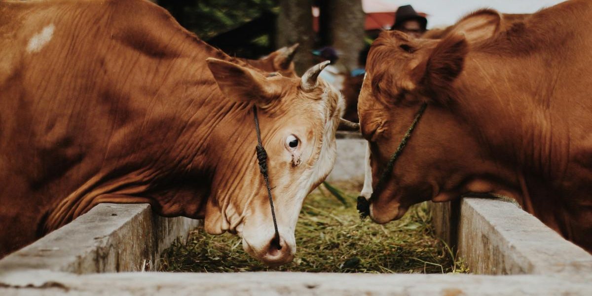 equipements agricoles pour moderniser son exploitation