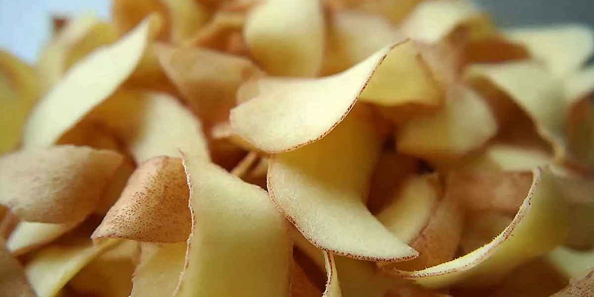 epluchures de pommes de terre