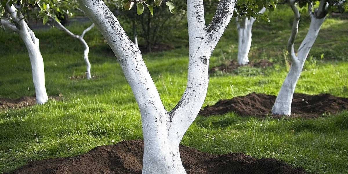 fabriquer son propre chaulage